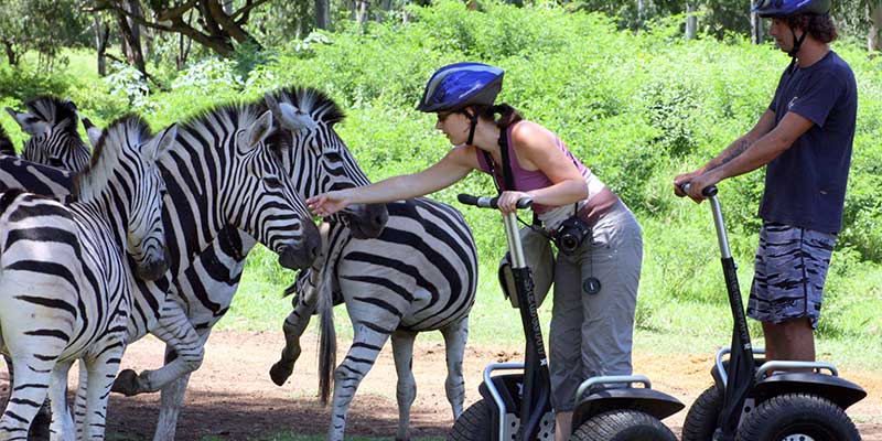Casela nature park mauritius (18)