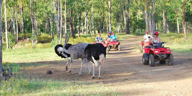 Casela nature park mauritius (2)
