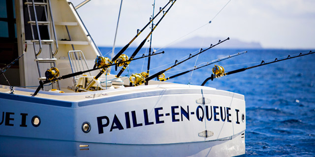 Days fishing trip soudan bank (6)