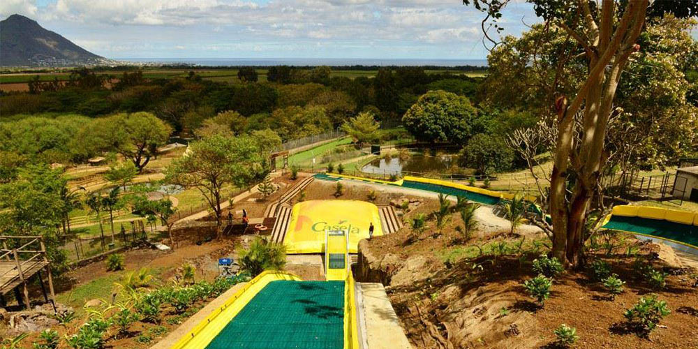 Big cats drive thru in mauritius casela park (1)