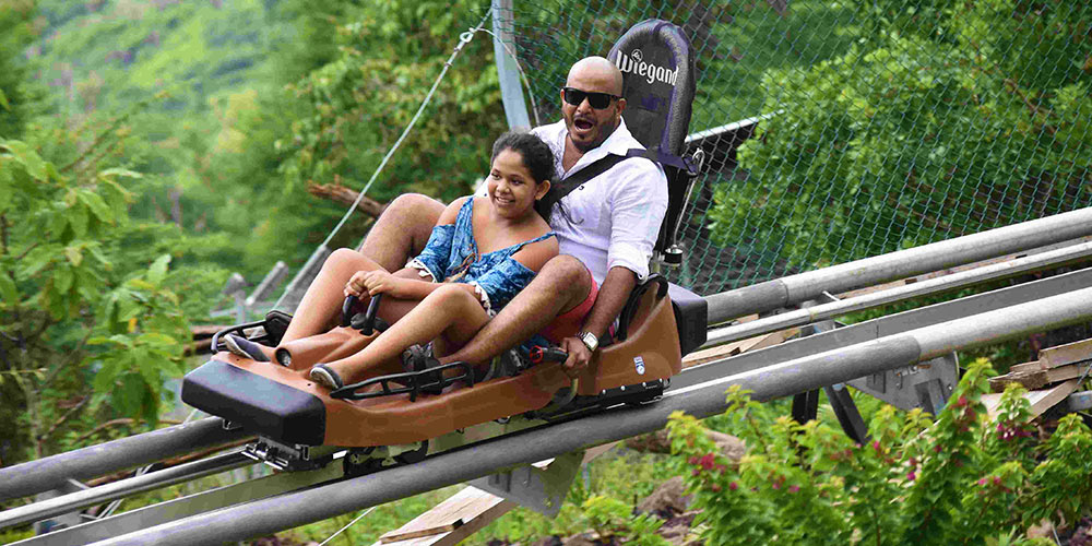 Big cats drive thru in mauritius casela park (15)
