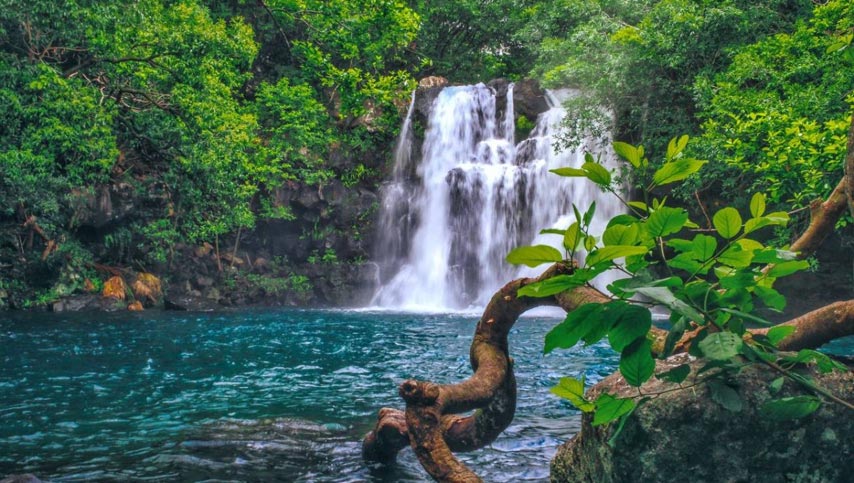 Mare Aux Joncs - Mauritius
