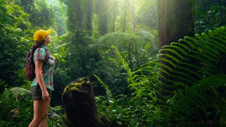 Ecotourism in Mauritius