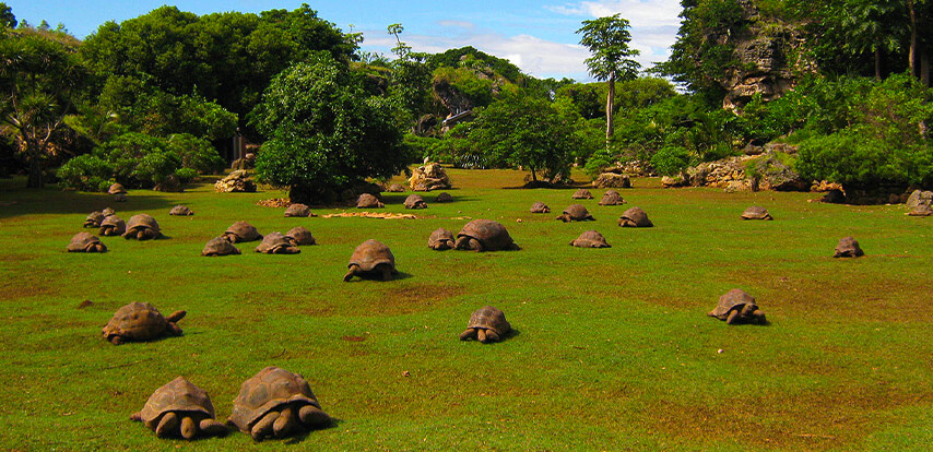 Top places to visit in Rodrigues