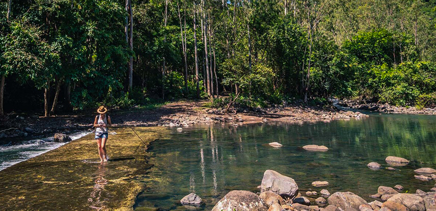 Black River Gorges National Park