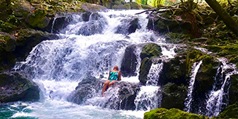 100+ Free Photos - Eau Bleue secret waterfall in Mauritius