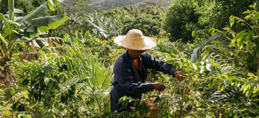 img 1