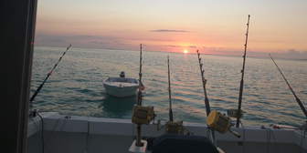 Deep Sea Fishing At Le Morne - 40ft Boat - Full Day - Mauritius