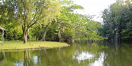 Pamplemousses Garden mauritius