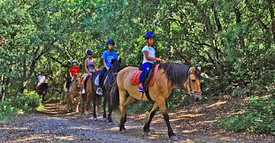 Kids Pony Ride at Domaine de L’Etoile