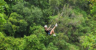 Ziplining & Nepalese Bridge - Lavilleon Adventure Park