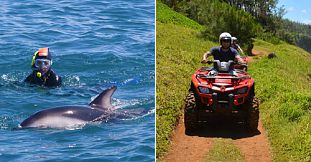 Exclusive Day Package - Swimming with Dolphins, Lunch & Quad