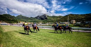 VIP Horse Racing in Mauritius