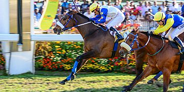 Vip Horse Racing In Mauritius Mauritius Attractions