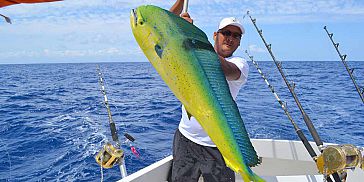 Deep Sea/ Big Game Fishing in Mauritius