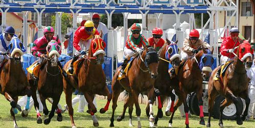 Vip Horse Racing - Full Day - Mauritius Attractions