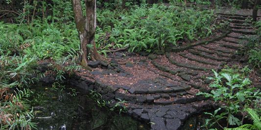 Nature Walk - Review of Bras d'Eau National Park, Poste Lafayette