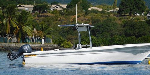 Private Half Day Budget Fishing Trip- West Coast of Mauritius