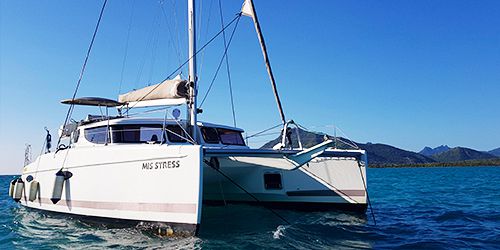 Exclusive Half Day Catamaran Cruise-Dolphins+Snorkelling