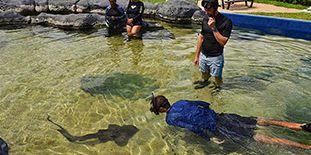 Shark Encounter & Visit to the Odysseo - Oceanarium