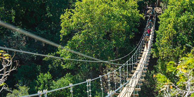 Ziplining at Casela Nature Parks - Mauritius Attractions