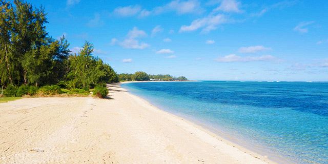 Romantic Horseback Riding & Swimming At Riambel Beach - Mauritius 