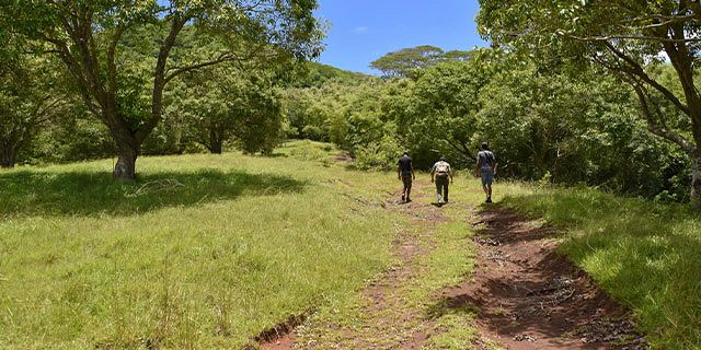 Fun Nature Activities at Lavilleon Adventure Park - Mauritius Attractions