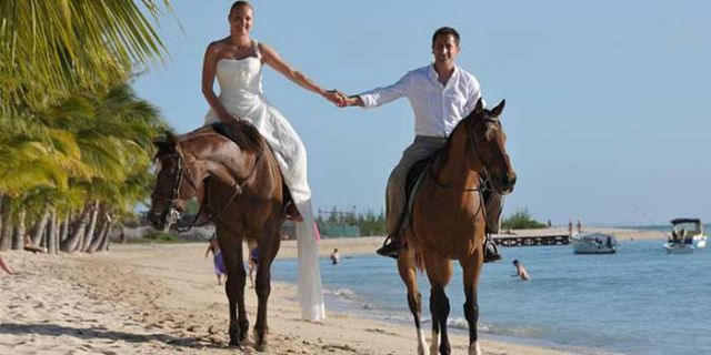 Image result for horse riding