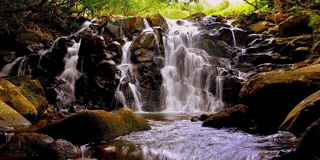 Visit To Vallée des Couleurs - Mauritius Attractions