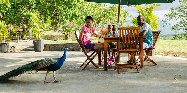 Visit to Casela Nature Parks - African Safari & Adventures - Mauritius ...