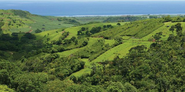 Photo Safari at Bel Ombre Nature Reserve - Mauritius Attractions