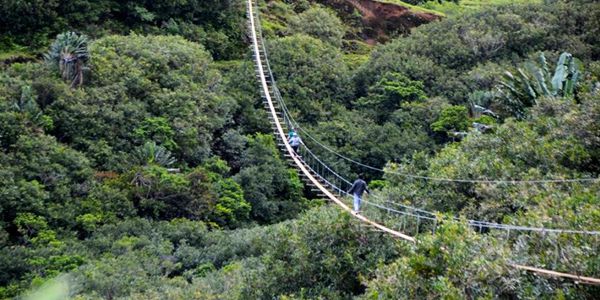 350m Nepalese Bridge + Park Visit + Mini Lunch - Mauritius Attractions