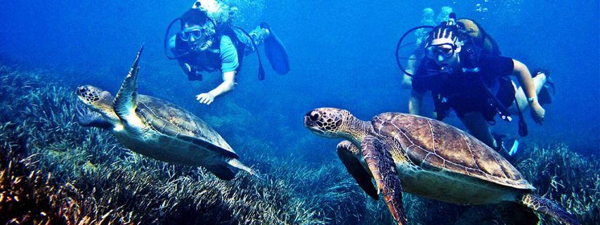 Dive Sites in Mauritius