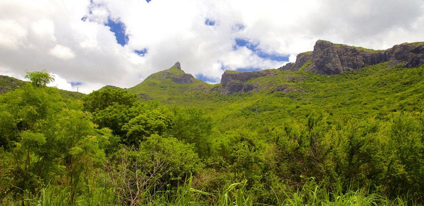 Le Pouce Mountain Mauritius Mauritius Attractions