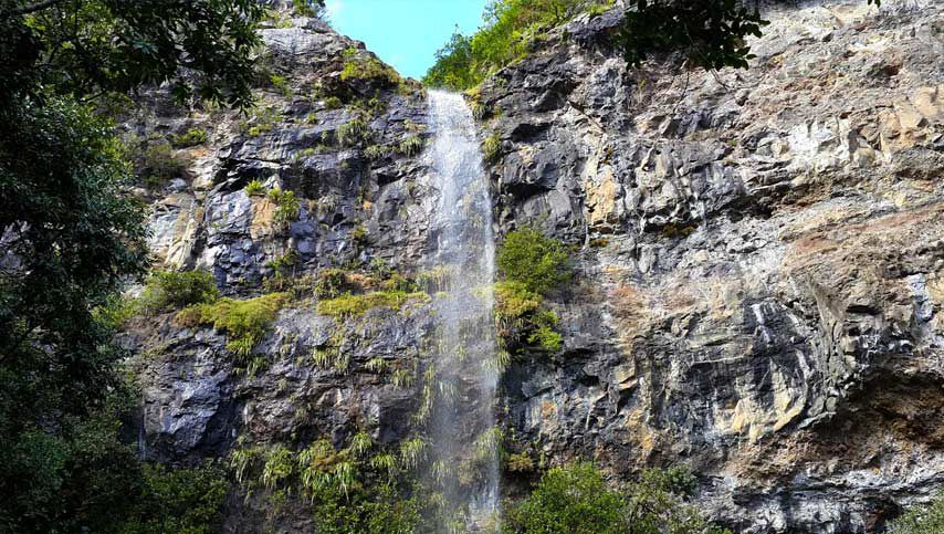 Mare Aux Joncs - Mauritius