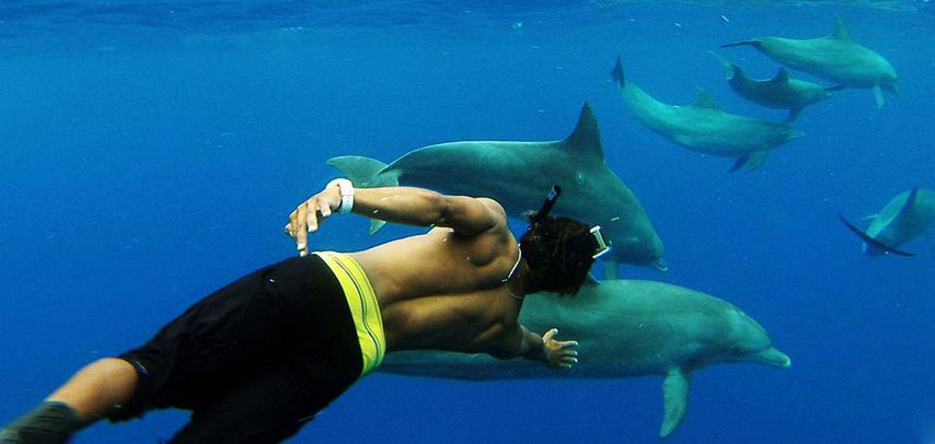 Swim with Dolphins - Mauritius