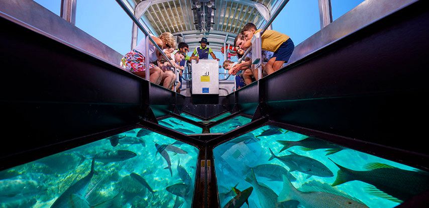 Glass bottom boat trips