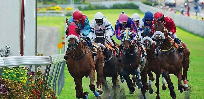 VIP Horse Racing in Mauritius