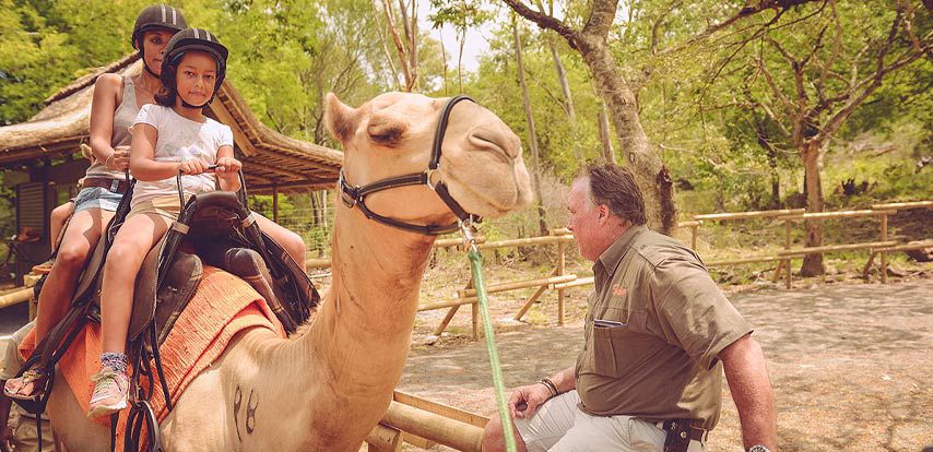 Camel Riding