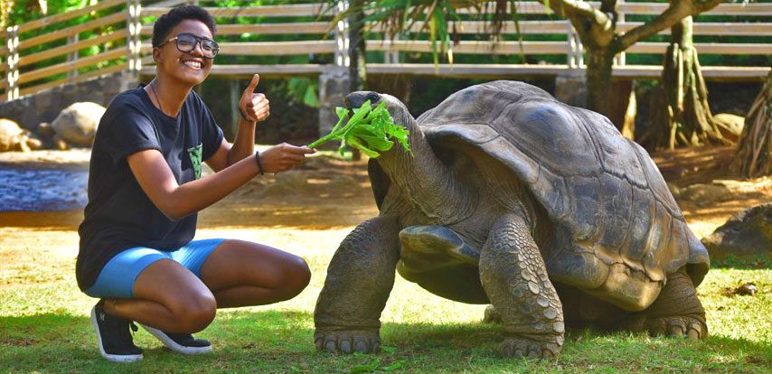 Petting Giant Tortoises